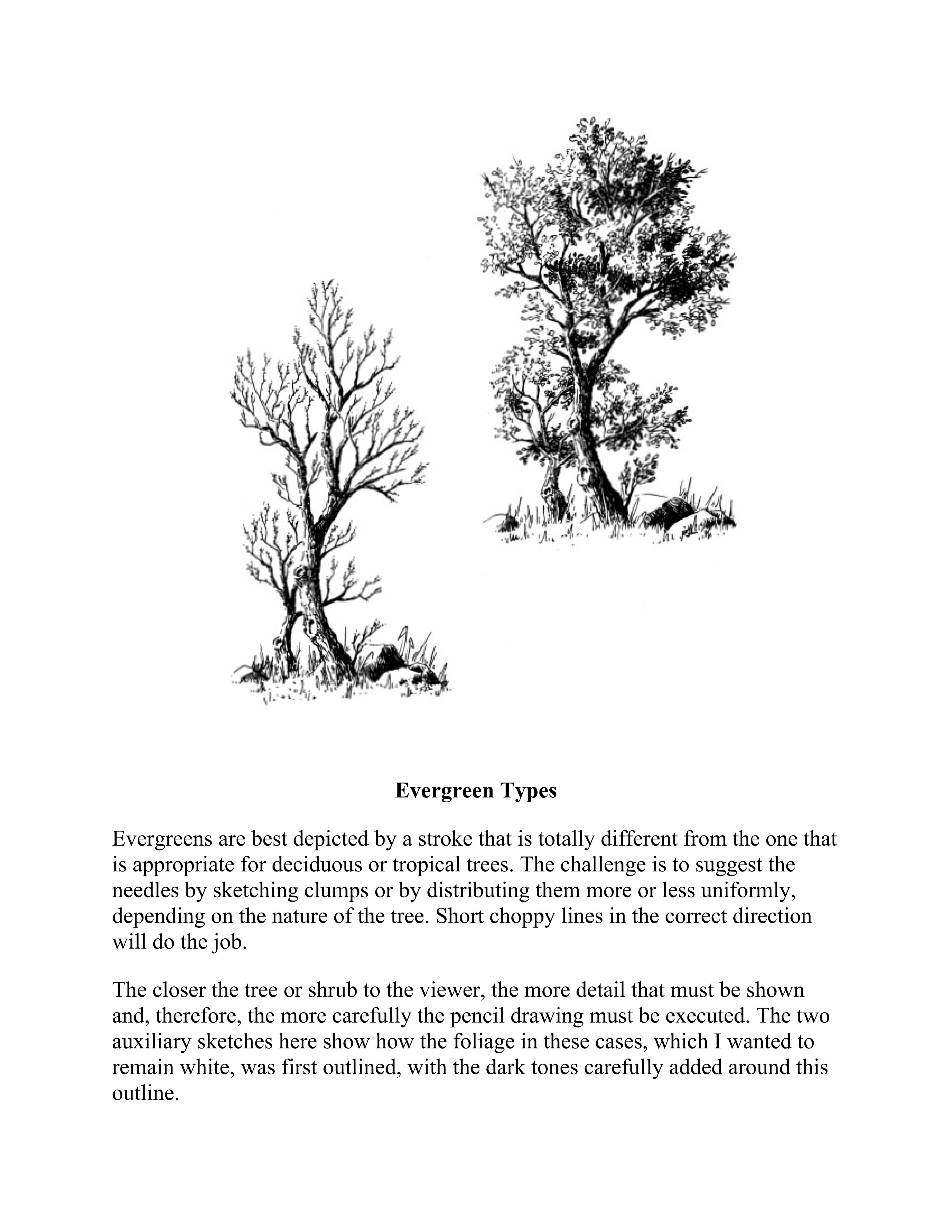 آموزش نقاشی طراحی سیاه قلم شهرری